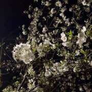 ヒメ日記 2026/03/22 11:35 投稿 りり Second Love（セカンドラブ）