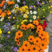 ヒメ日記 2026/03/22 18:14 投稿 りり Second Love（セカンドラブ）