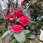 ヒメ日記 2026/03/23 19:03 投稿 りり Second Love（セカンドラブ）