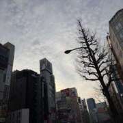 ヒメ日記 2026/03/25 20:07 投稿 りり Second Love（セカンドラブ）