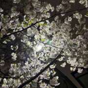 ヒメ日記 2026/03/27 20:24 投稿 りり Second Love（セカンドラブ）