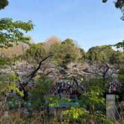 ヒメ日記 2026/03/29 09:35 投稿 りり Second Love（セカンドラブ）