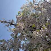 ヒメ日記 2026/03/29 13:45 投稿 りり Second Love（セカンドラブ）