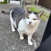 ヒメ日記 2026/03/29 18:06 投稿 りり Second Love（セカンドラブ）