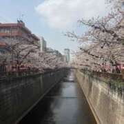 ヒメ日記 2026/03/31 12:07 投稿 りり Second Love（セカンドラブ）