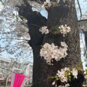 ヒメ日記 2026/03/31 15:55 投稿 りり Second Love（セカンドラブ）