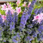 ヒメ日記 2026/04/08 11:02 投稿 りり Second Love（セカンドラブ）