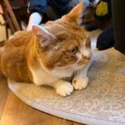 りり 【Xアカウント凍結のおしらせ】 Second Love（セカンドラブ）