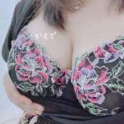 ヒメ日記 2025/02/25 17:18 投稿 かえで ぷるるん小町 京橋店