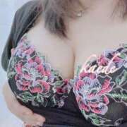 ヒメ日記 2025/04/21 12:37 投稿 かえで ぷるるん小町 京橋店