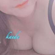 ヒメ日記 2025/05/24 17:16 投稿 かえで ぷるるん小町 京橋店