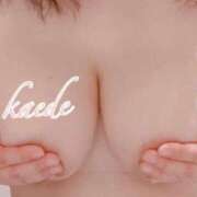 ヒメ日記 2025/05/31 16:46 投稿 かえで ぷるるん小町 京橋店