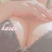 ヒメ日記 2025/08/04 20:07 投稿 かえで ぷるるん小町 京橋店