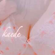 ヒメ日記 2025/08/12 01:10 投稿 かえで ぷるるん小町 京橋店