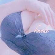 ヒメ日記 2025/08/24 00:14 投稿 かえで ぷるるん小町 京橋店