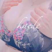 ヒメ日記 2025/08/28 00:45 投稿 かえで ぷるるん小町 京橋店