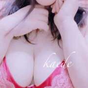 ヒメ日記 2025/08/29 22:48 投稿 かえで ぷるるん小町 京橋店