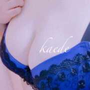 ヒメ日記 2025/08/30 01:04 投稿 かえで ぷるるん小町 京橋店