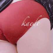 ヒメ日記 2025/09/02 23:45 投稿 かえで ぷるるん小町 京橋店