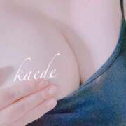 ヒメ日記 2025/09/09 14:28 投稿 かえで ぷるるん小町 京橋店