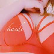 ヒメ日記 2025/09/15 00:00 投稿 かえで ぷるるん小町 京橋店