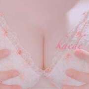 ヒメ日記 2025/10/06 00:00 投稿 かえで ぷるるん小町 京橋店