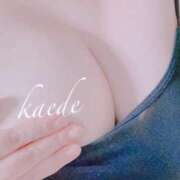 ヒメ日記 2025/10/10 00:03 投稿 かえで ぷるるん小町 京橋店