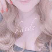 ヒメ日記 2025/10/11 00:19 投稿 かえで ぷるるん小町 京橋店