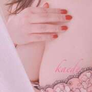 ヒメ日記 2025/11/03 01:37 投稿 かえで ぷるるん小町 京橋店