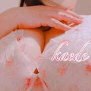 ヒメ日記 2025/11/14 15:30 投稿 かえで ぷるるん小町 京橋店