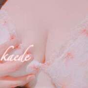 ヒメ日記 2025/11/17 00:08 投稿 かえで ぷるるん小町 京橋店