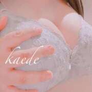 ヒメ日記 2025/11/27 22:02 投稿 かえで ぷるるん小町 京橋店