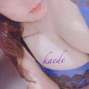 ヒメ日記 2025/11/30 01:33 投稿 かえで ぷるるん小町 京橋店