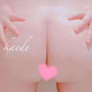 ヒメ日記 2025/12/05 15:30 投稿 かえで ぷるるん小町 京橋店