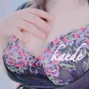 ヒメ日記 2025/12/08 23:38 投稿 かえで ぷるるん小町 京橋店