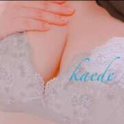 かえで ダメよ、ダメダメ(笑) ぷるるん小町 京橋店