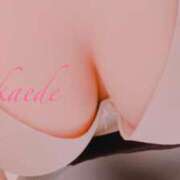 かえで 退勤しました😊 ぷるるん小町 京橋店