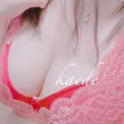 ヒメ日記 2025/12/24 00:00 投稿 かえで ぷるるん小町 京橋店