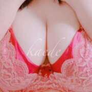 ヒメ日記 2025/12/24 22:09 投稿 かえで ぷるるん小町 京橋店