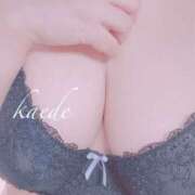 ヒメ日記 2026/01/27 00:33 投稿 かえで ぷるるん小町 京橋店