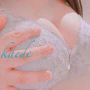 ヒメ日記 2026/01/28 00:38 投稿 かえで ぷるるん小町 京橋店