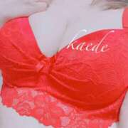 ヒメ日記 2026/01/31 15:00 投稿 かえで ぷるるん小町 京橋店