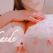 ヒメ日記 2026/03/18 00:49 投稿 かえで ぷるるん小町 京橋店