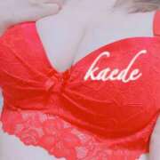 ヒメ日記 2026/03/23 15:30 投稿 かえで ぷるるん小町 京橋店