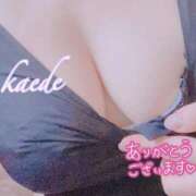 ヒメ日記 2026/03/29 02:15 投稿 かえで ぷるるん小町 京橋店