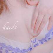 ヒメ日記 2026/04/15 00:44 投稿 かえで ぷるるん小町 京橋店