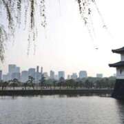 ヒメ日記 2025/06/17 18:40 投稿 せな 錦糸町人妻セレブリティ（ユメオト）