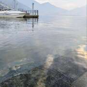 ヒメ日記 2025/08/09 19:18 投稿 せな 錦糸町人妻セレブリティ（ユメオト）