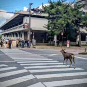 ヒメ日記 2025/10/29 18:53 投稿 せな 錦糸町人妻セレブリティ（ユメオト）