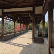 ヒメ日記 2025/12/03 17:17 投稿 せな 錦糸町人妻セレブリティ（ユメオト）